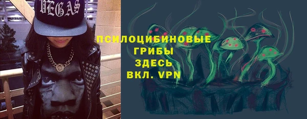 шишки Баксан