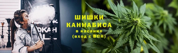 ПСИЛОЦИБИНОВЫЕ ГРИБЫ Балахна