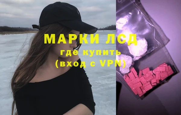 шишки Баксан