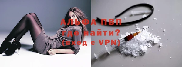 шишки Баксан
