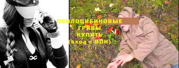 ПСИЛОЦИБИНОВЫЕ ГРИБЫ Балахна