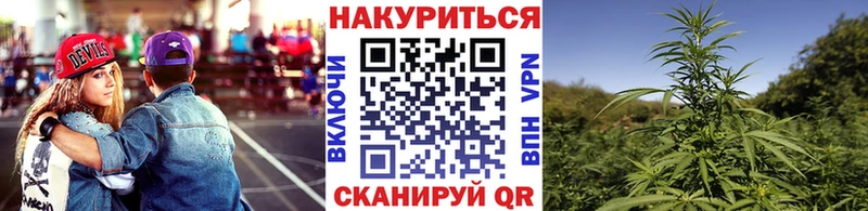 Конопля семена  блэк спрут ССЫЛКА  Новый Оскол  купить закладку 